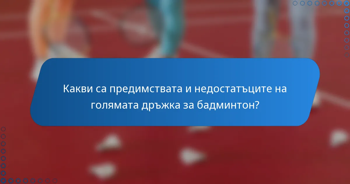 Какви са предимствата и недостатъците на голямата дръжка за бадминтон?
