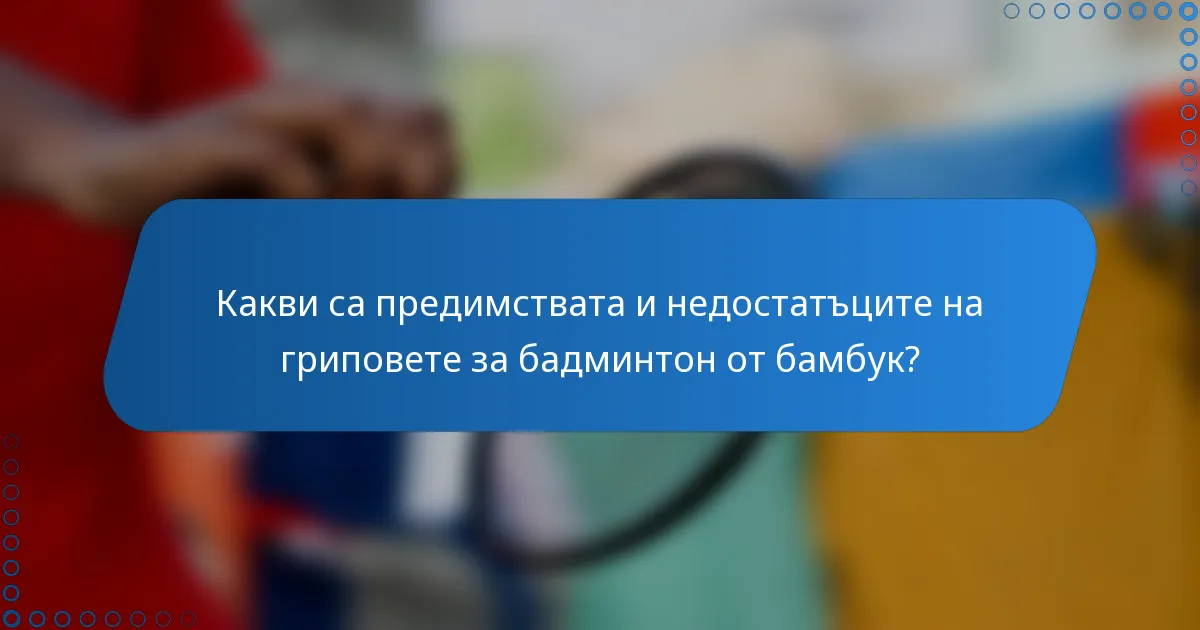 Какви са предимствата и недостатъците на гриповете за бадминтон от бамбук?