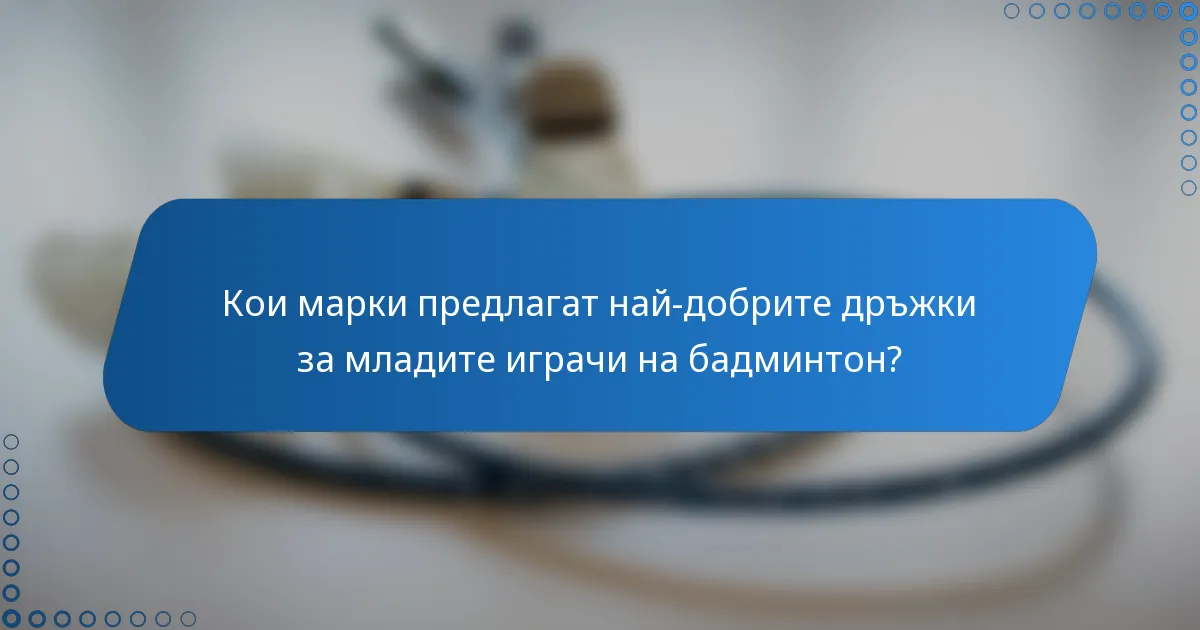 Кои марки предлагат най-добрите дръжки за младите играчи на бадминтон?